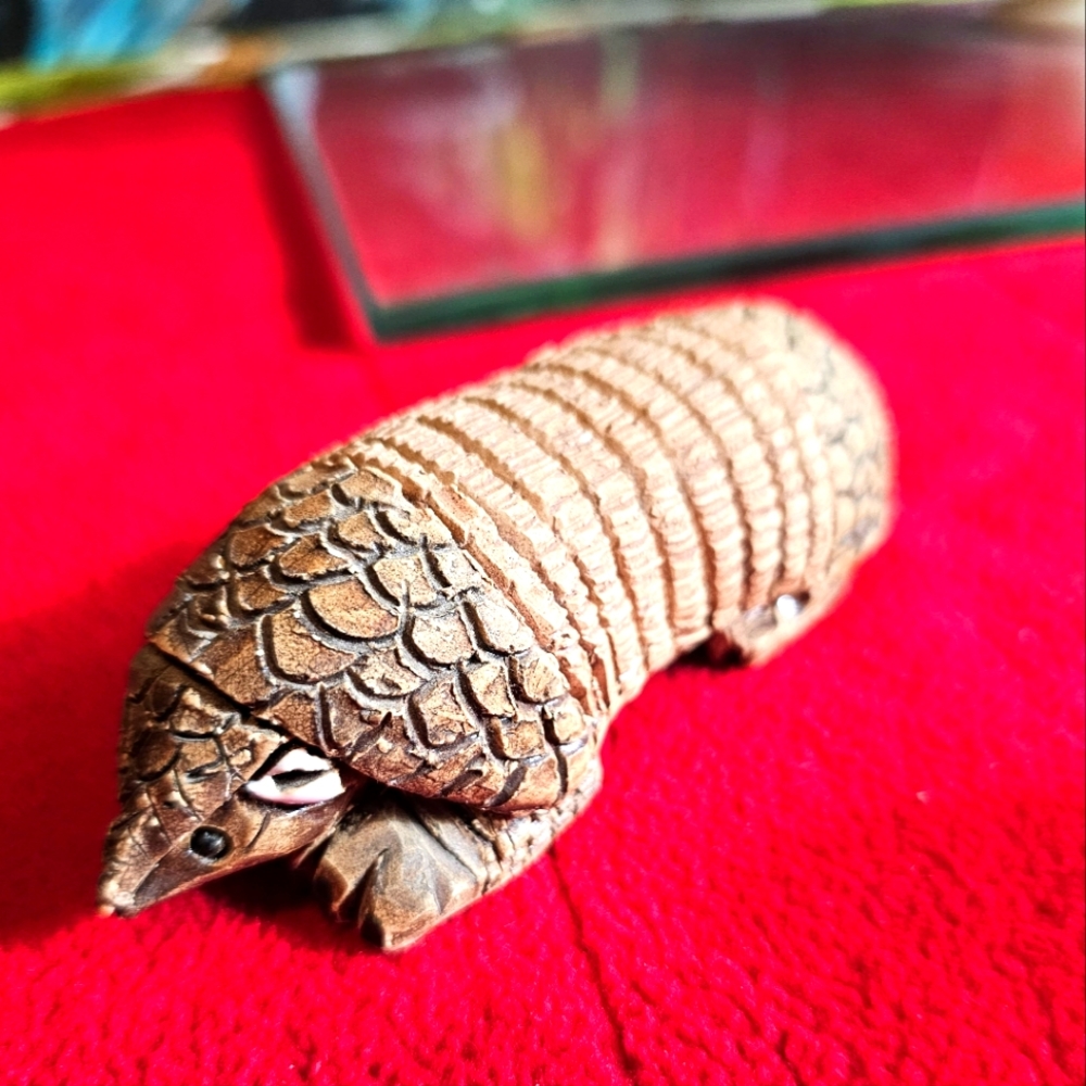 Rinconada Armadillo